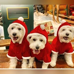 DOG SANTA JACKET W/ HOODIE SIZE LARGE